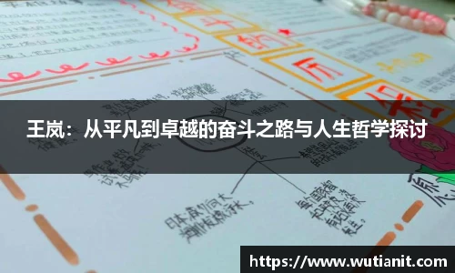 王岚：从平凡到卓越的奋斗之路与人生哲学探讨